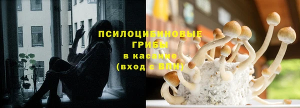 ГАЛЛЮЦИНОГЕННЫЕ ГРИБЫ Михайловск