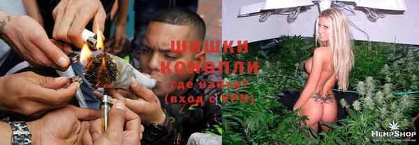 ГАЛЛЮЦИНОГЕННЫЕ ГРИБЫ Михайловск