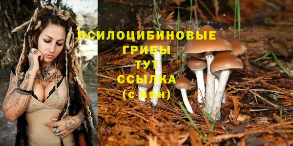 трава Мегион