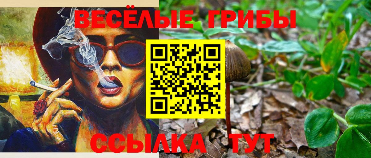 Сафоново  Галлюциногенные грибы ЛСД  Вход с VPN 