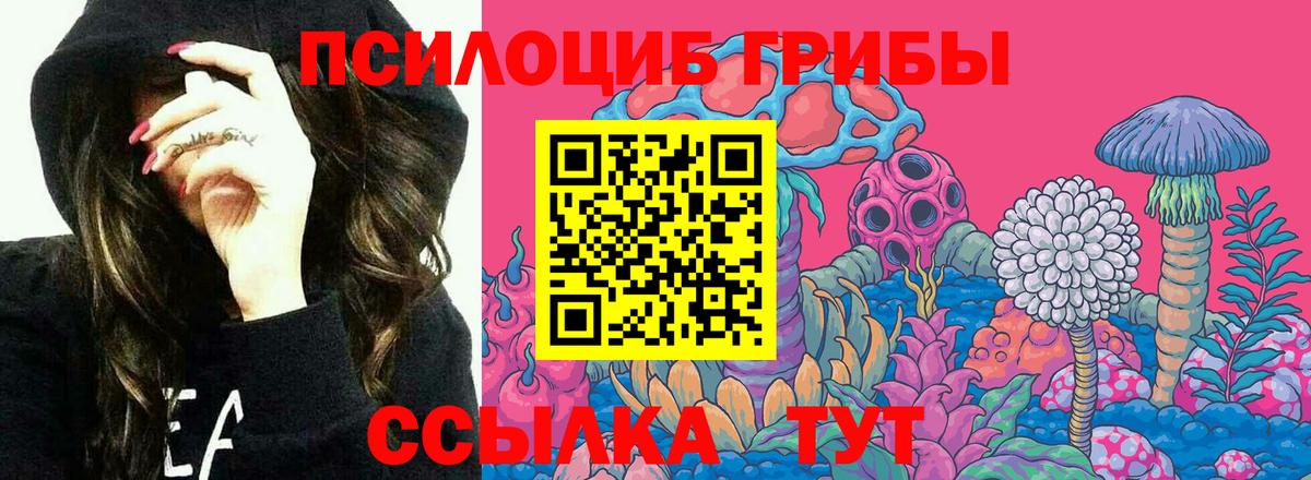 Марихуана  Сафоново  Кокаин  МЕФ  Бошки Шишки  Меф  Вход с VPN  Гарик 